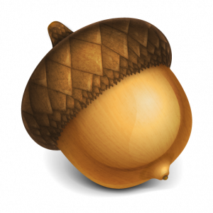 Acorn Png 7 Transparent PNG Image