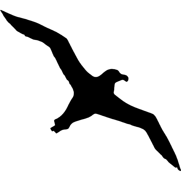 Albatross Transparent Background Transparent PNG Image