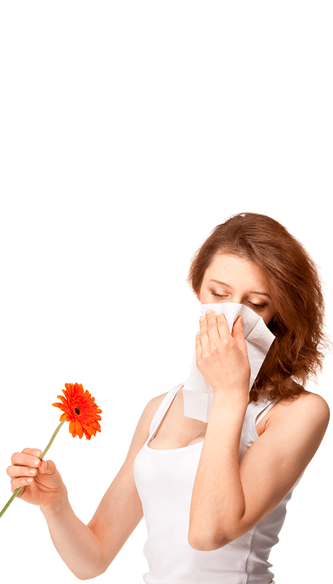 Allergy Transparent Image Transparent PNG Image