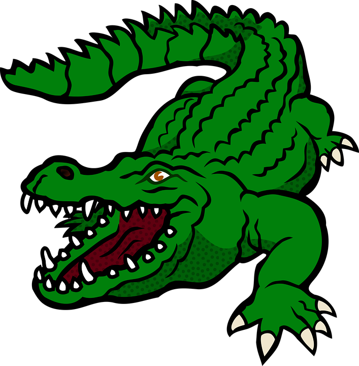 Alligator Picture Vector HQ Image Free Transparent PNG Image