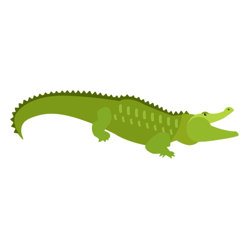 Alligator Vector Free Transparent Image HQ Transparent PNG Image