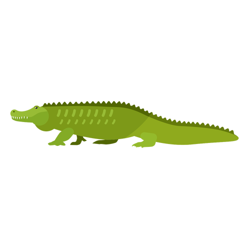 Alligator Vector Download Free Image Transparent PNG Image