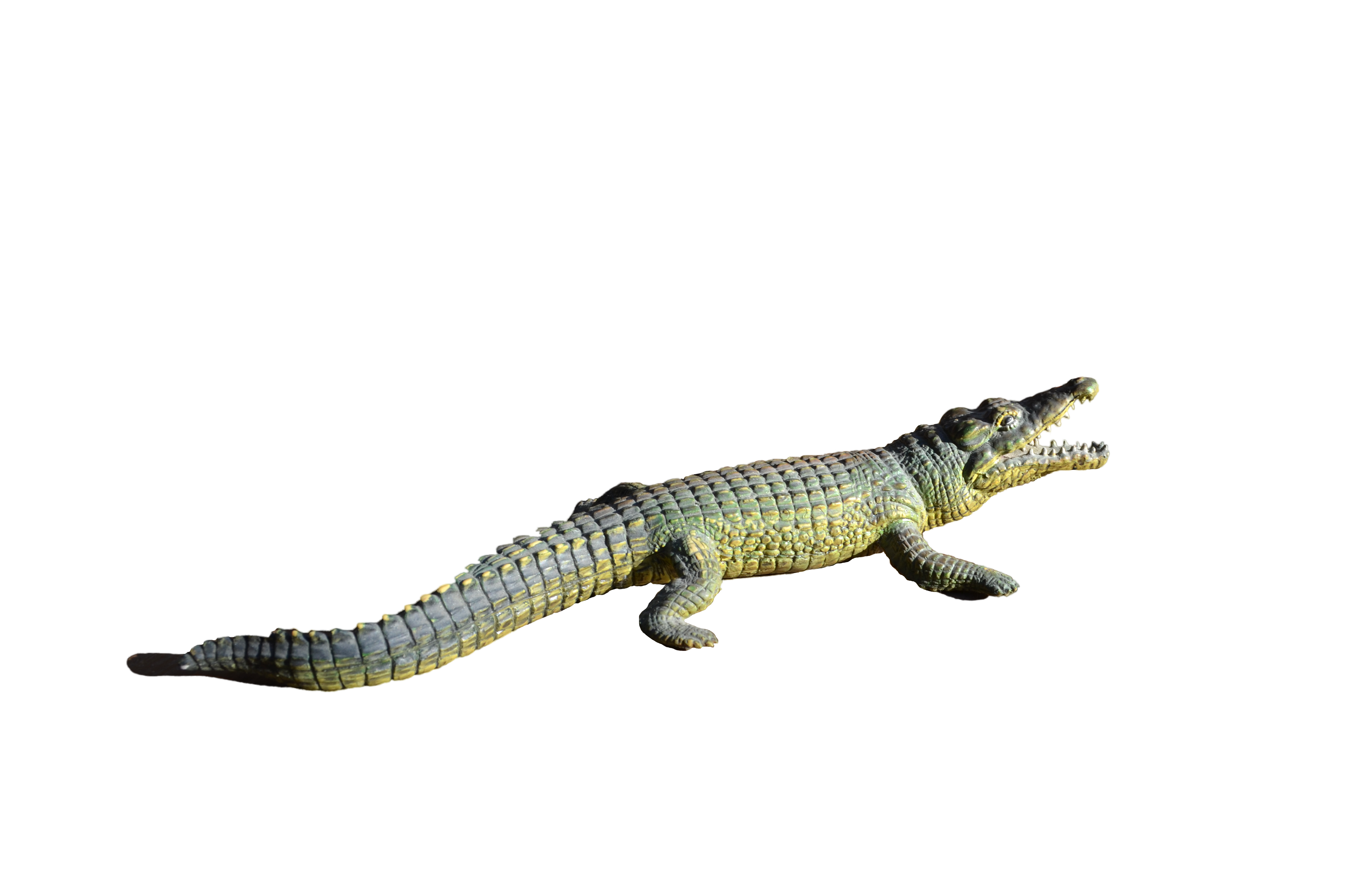 Alligator Transparent Transparent PNG Image