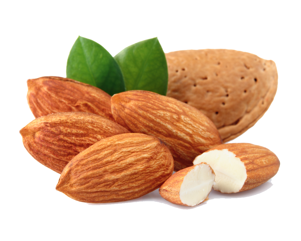 Almond Free Download Png Transparent PNG Image