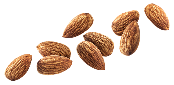 Nut Almond Download HQ Transparent PNG Image