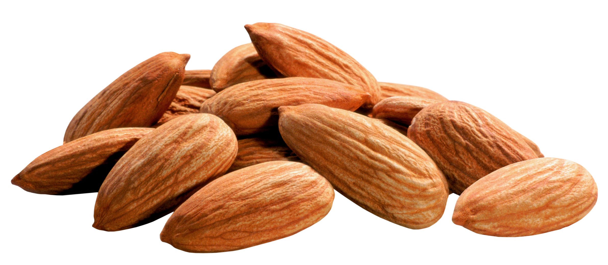 Nut Almond Pic Free Download Image Transparent PNG Image