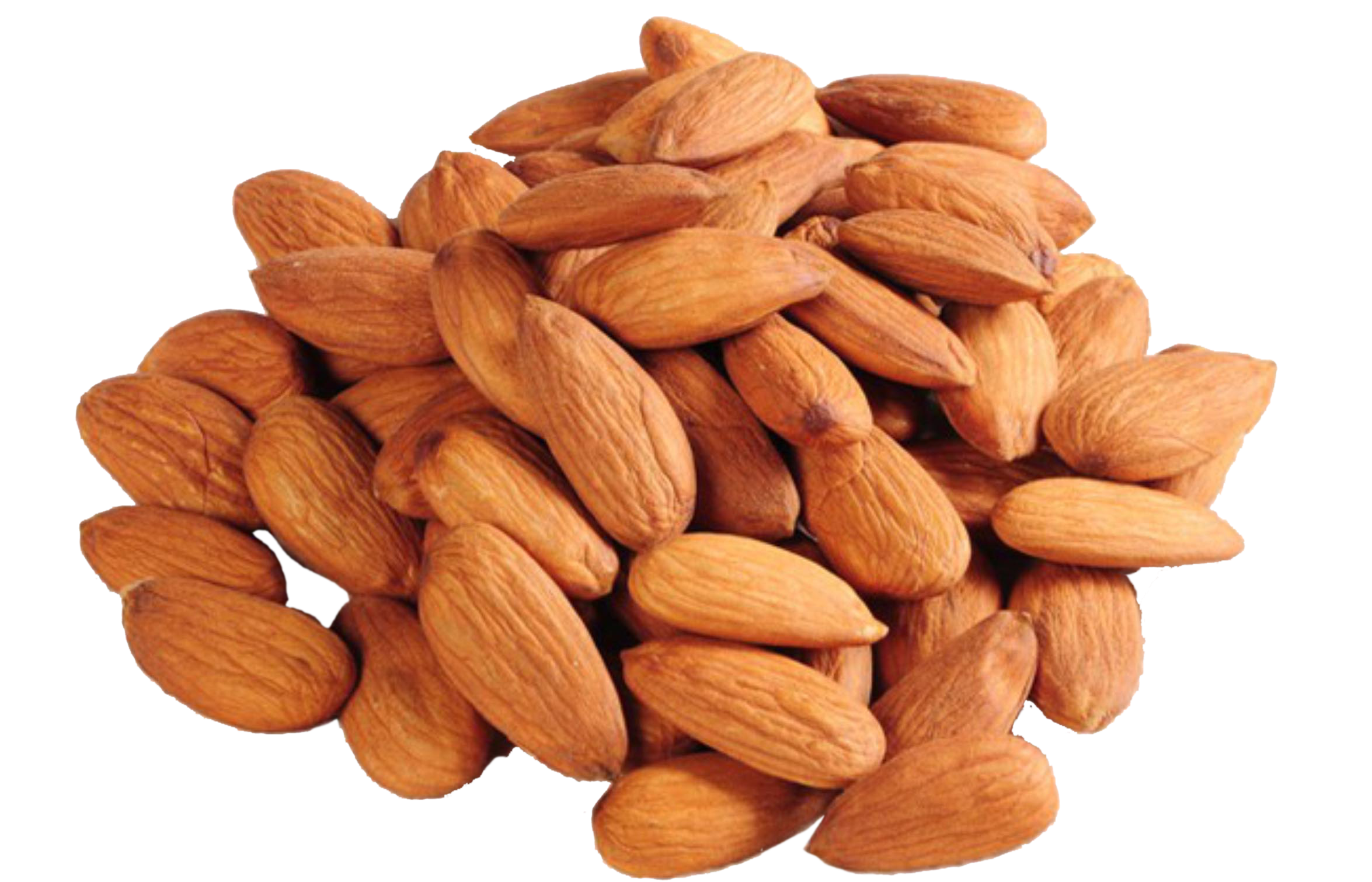 Nut Almond Free Download PNG HQ Transparent PNG Image