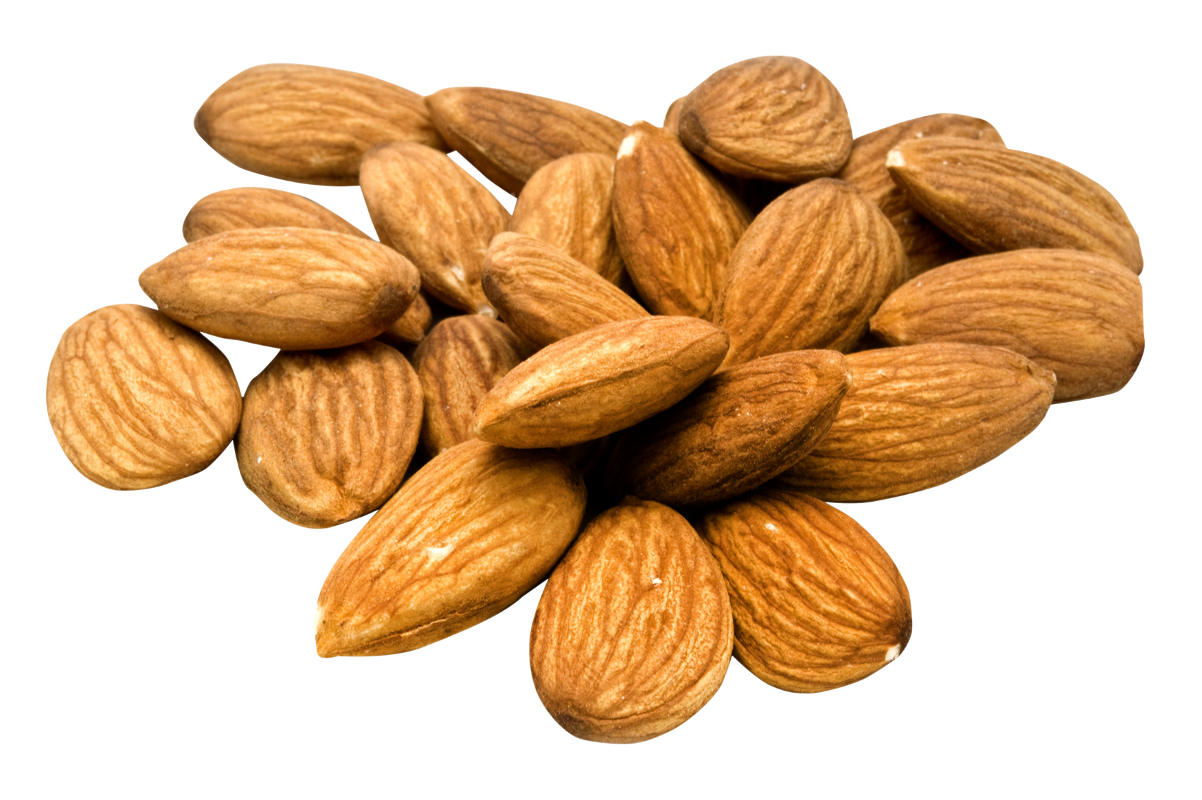 Nut Almond Free Clipart HD Transparent PNG Image