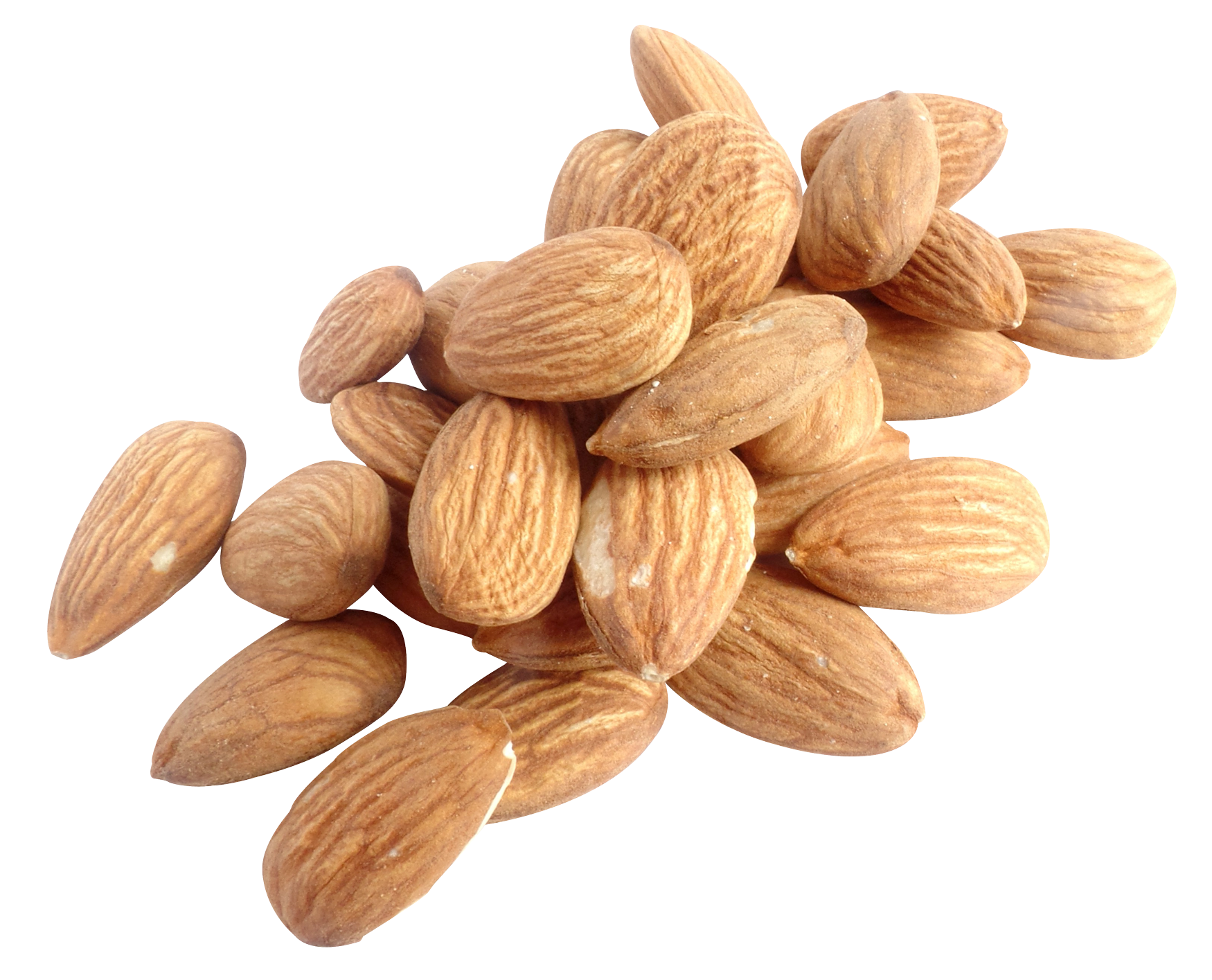 Nut Almond Free Download Image Transparent PNG Image