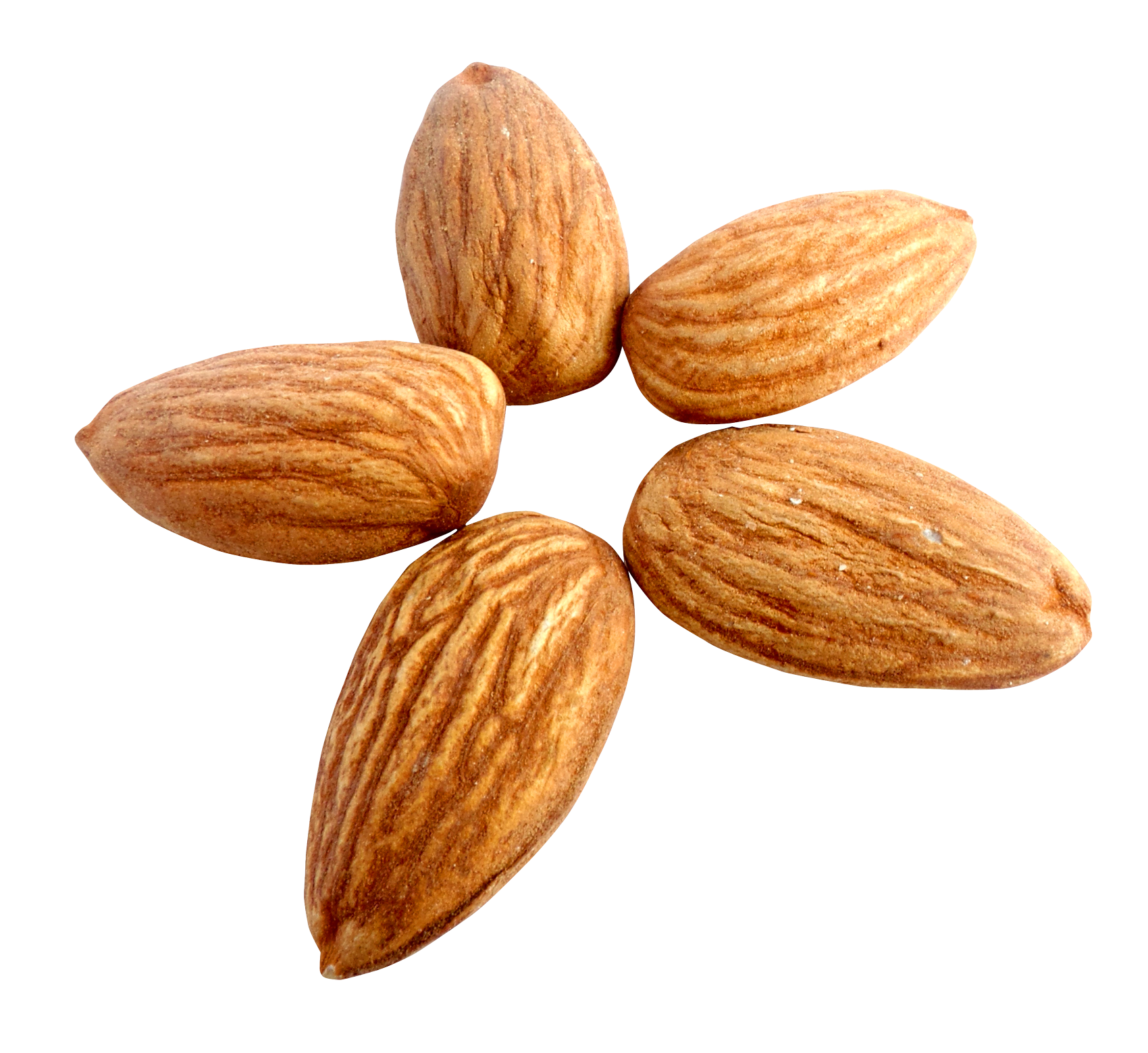 Images Nut Almond Free Photo Transparent PNG Image