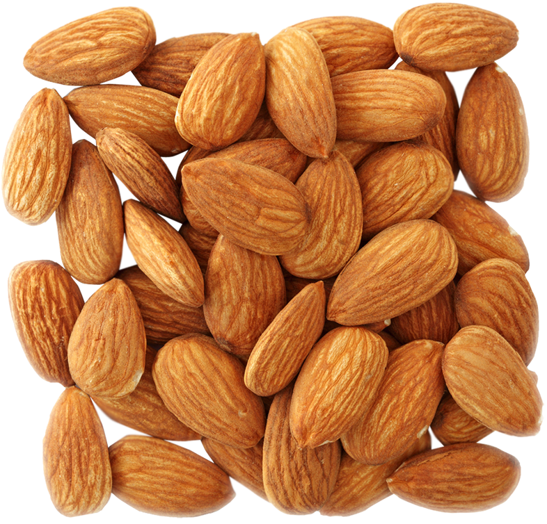 Nut Almond Free Download PNG HQ Transparent PNG Image