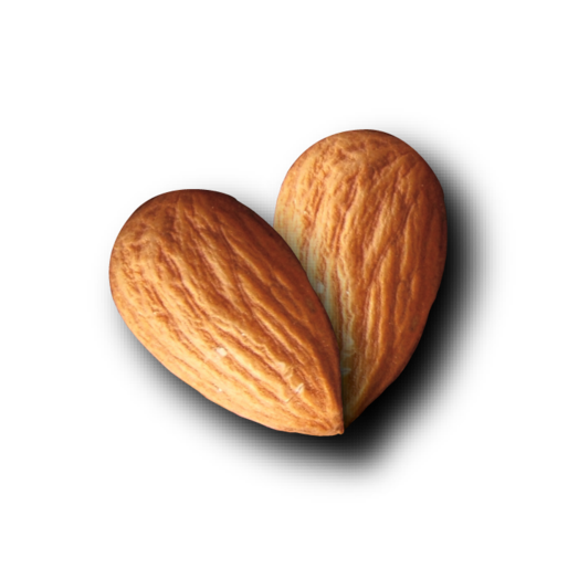 Nut Almond PNG File HD Transparent PNG Image