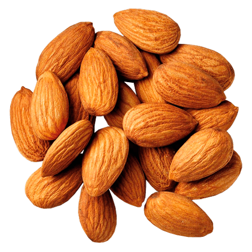 Picture Nut Almond Free HQ Image Transparent PNG Image