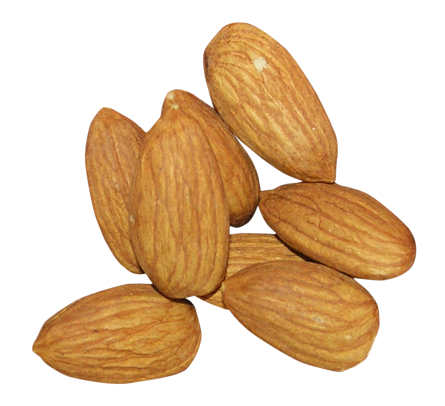 Nut Almond Free Download PNG HQ Transparent PNG Image