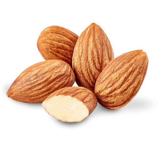 Nut Almond Download Free Image Transparent PNG Image