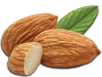 Almond Png Picture Transparent PNG Image