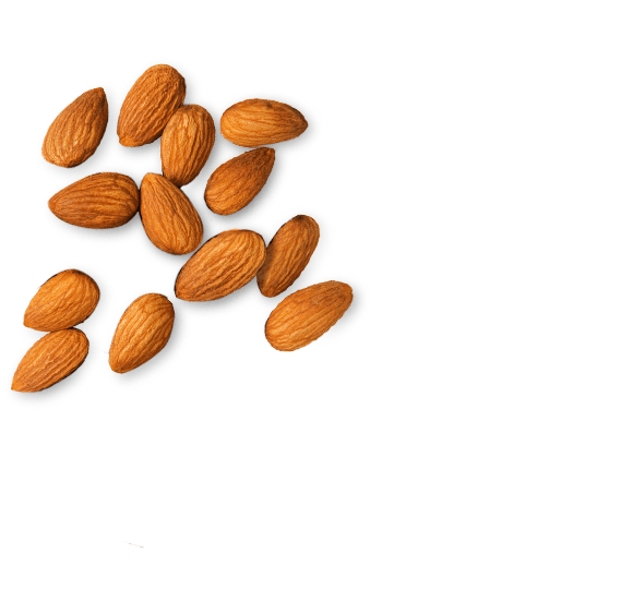 Almond Picture Transparent PNG Image