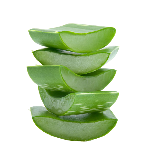 Aloe File Transparent PNG Image