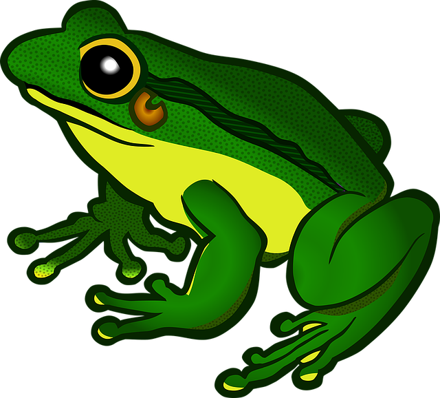 Amphibian File Transparent PNG Image