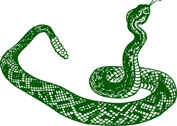 Green Anaconda PNG Free Photo Transparent PNG Image