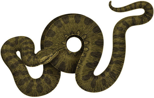 Anaconda Png Transparent PNG Image