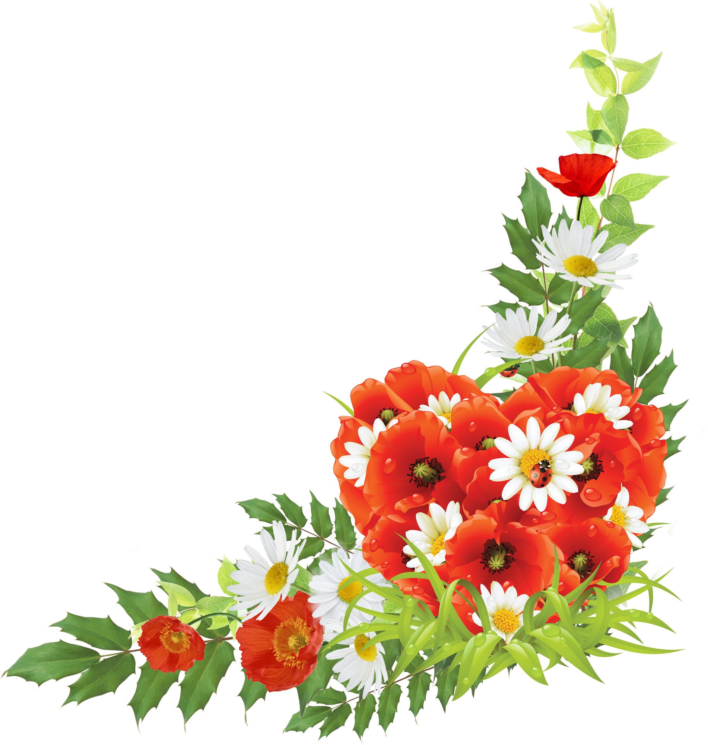 Corner Android Flowers Free Frame Transparent PNG Image