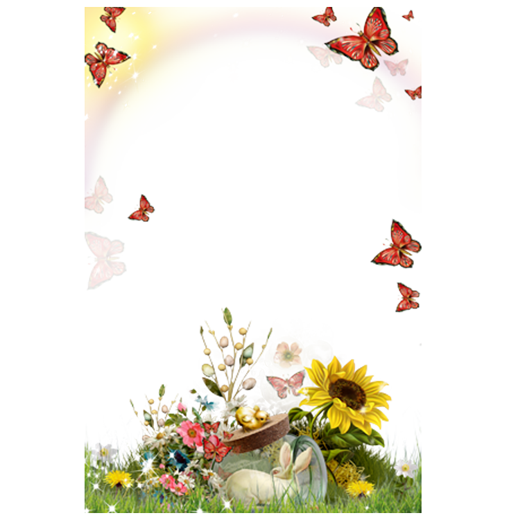 Picture Flower Sunflower Frame Android Photography Transparent PNG Image