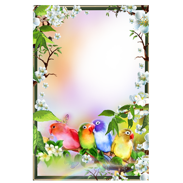 Picture Play Google Cute Frame Lark Transparent PNG Image