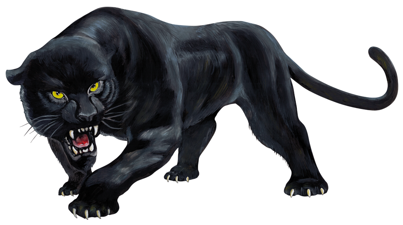 Real Simulator Panthera Panther Black Cub Wild Transparent PNG Image