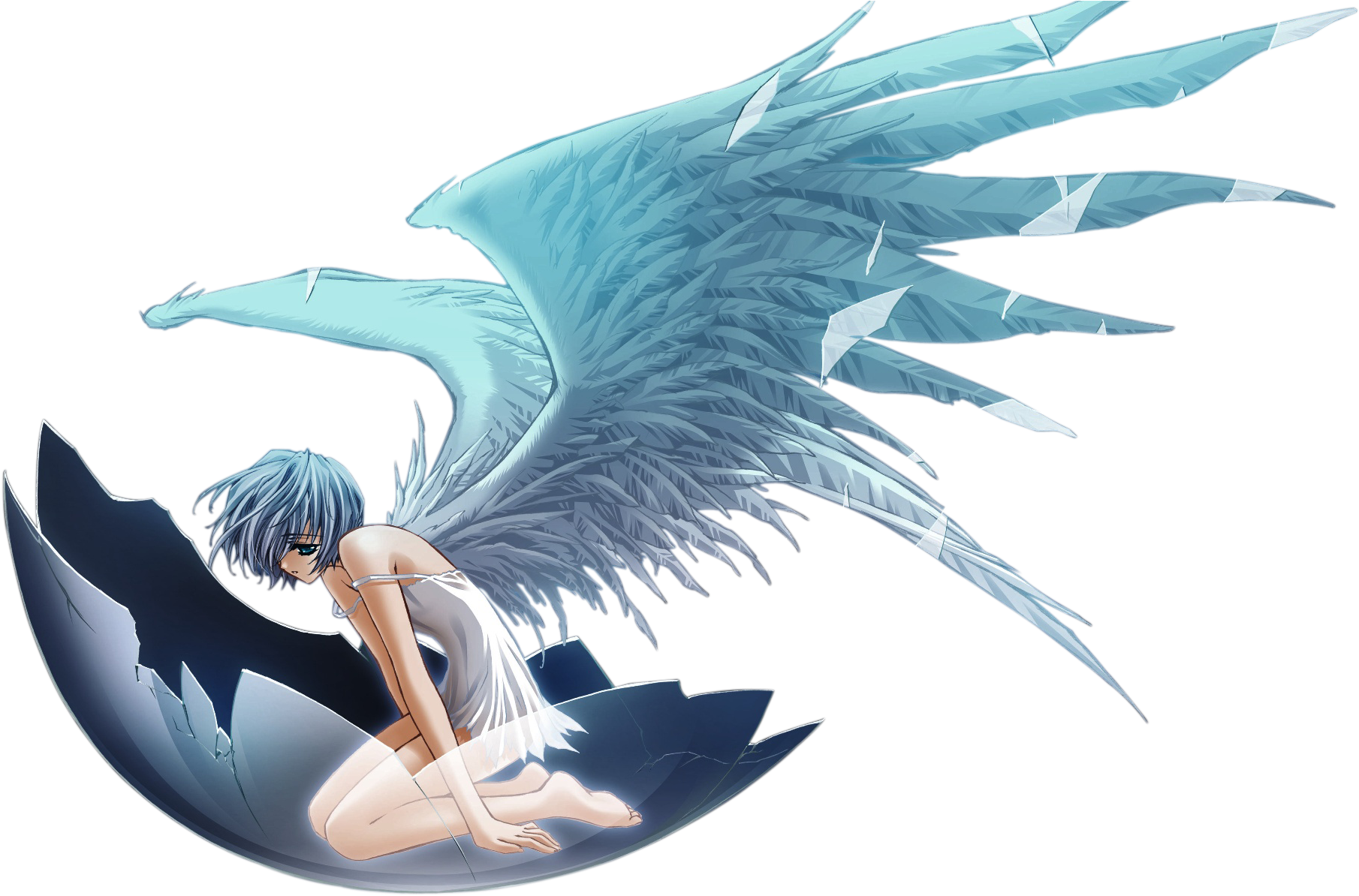 Girl Anime Angel Free Clipart HD Transparent PNG Image