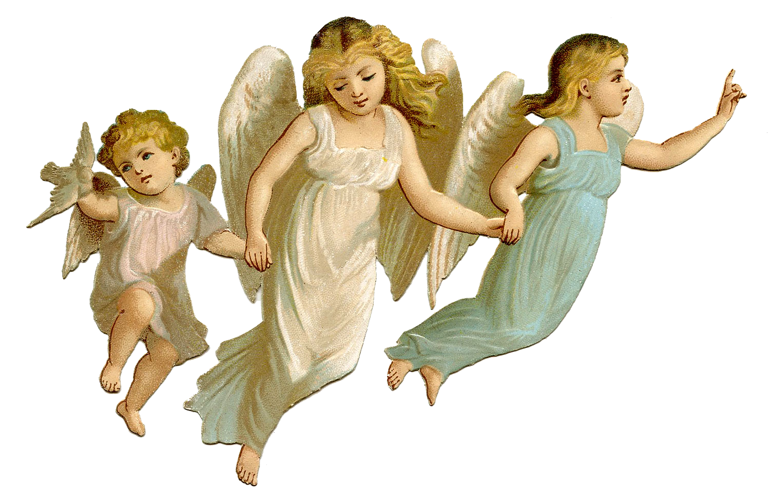 Angel Picture Transparent PNG Image