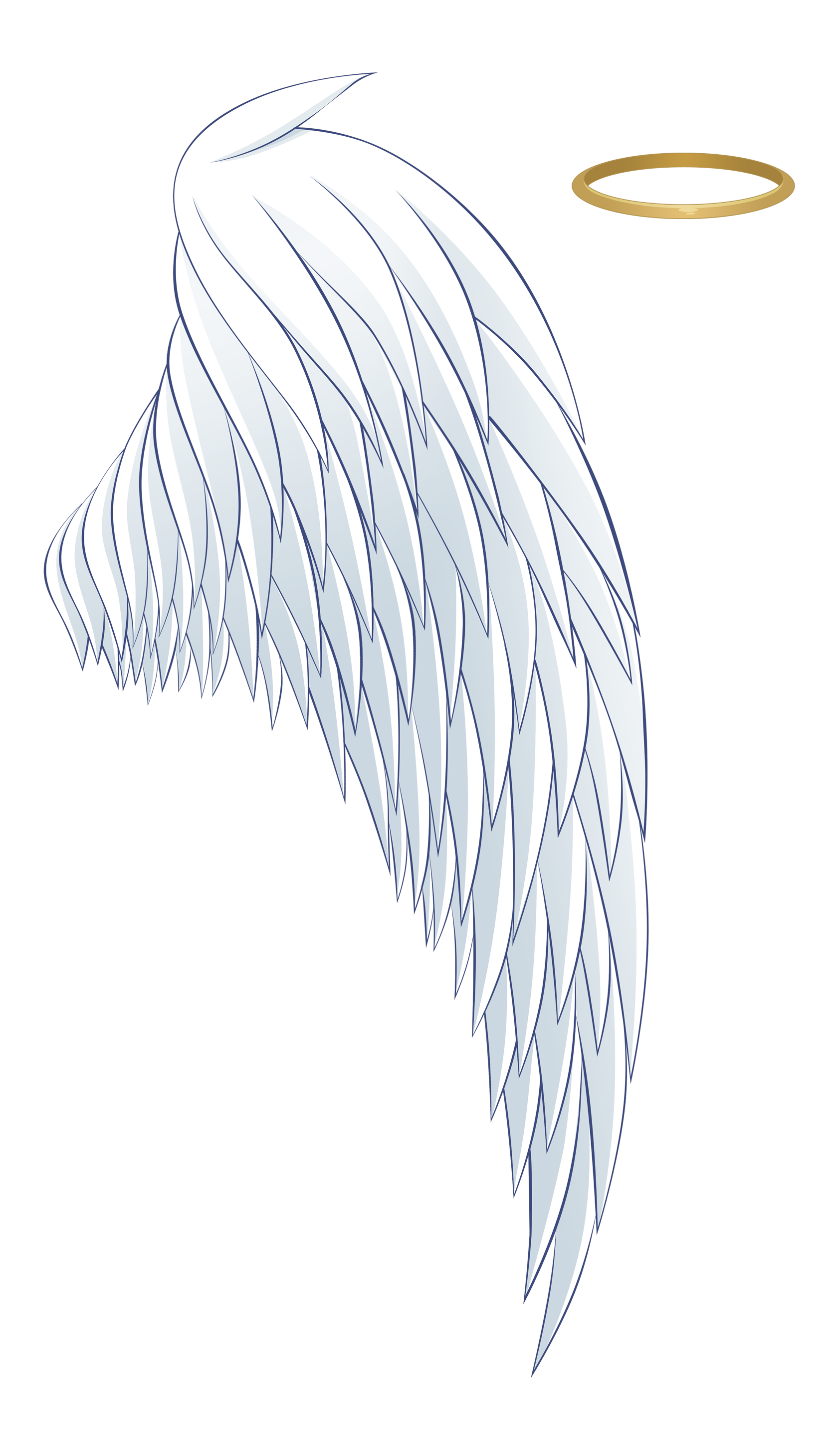 And Angel Wing Aureola White Wings Halo Transparent PNG Image