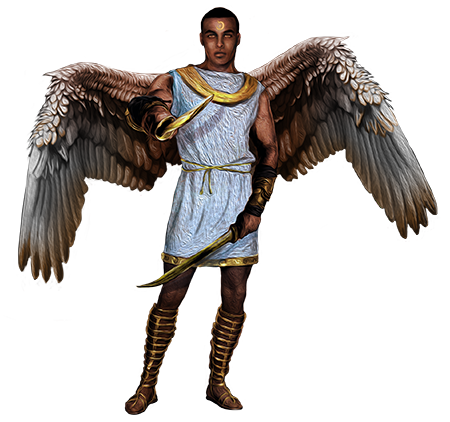 Angel Warrior Png Image Transparent PNG Image