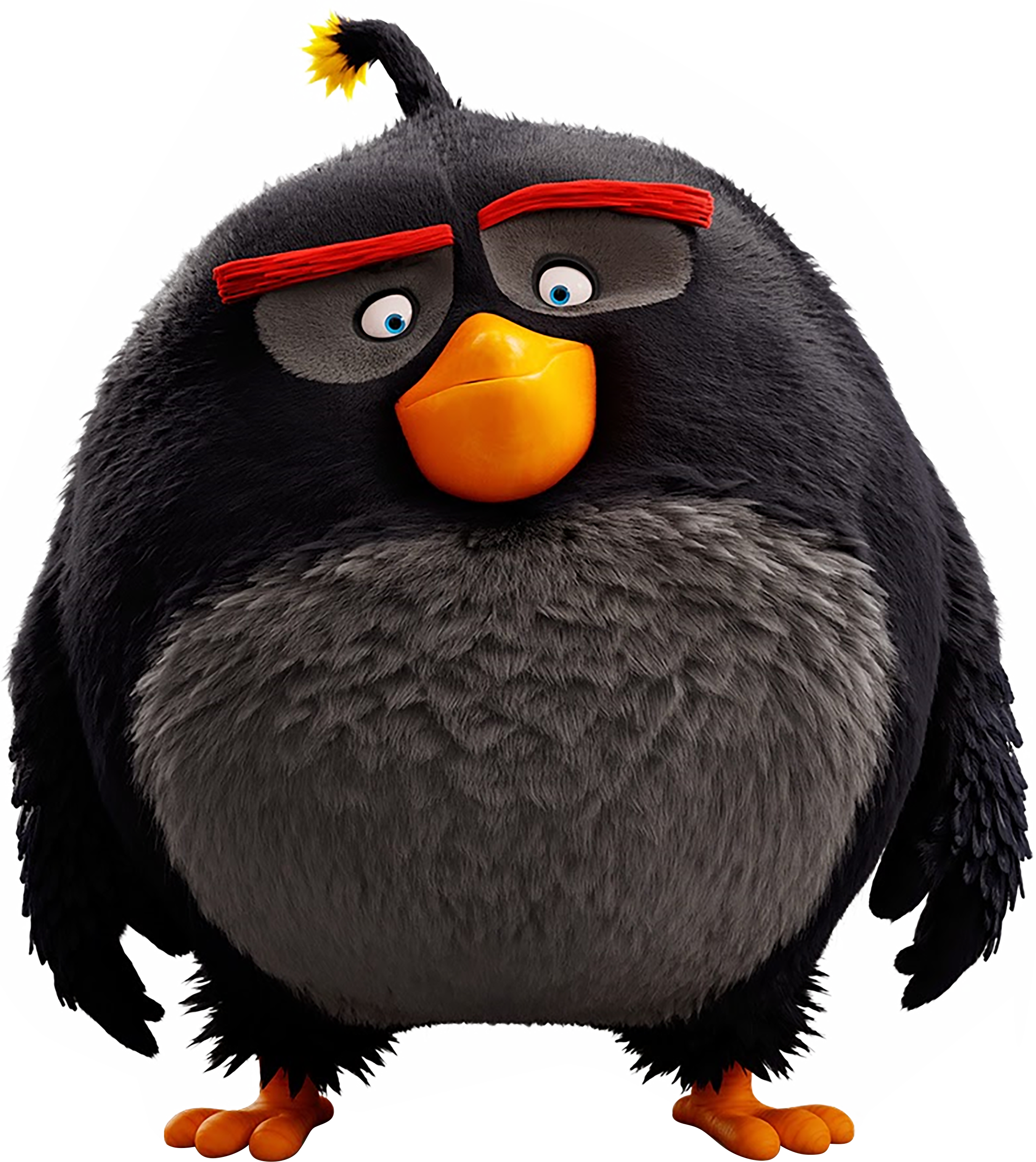 Evolution Penguin Eva Angry Bird Birthday Mom Transparent PNG Image