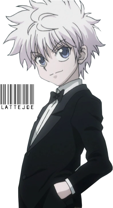 Killua X Zoldyck Hunter Download HQ Transparent PNG Image