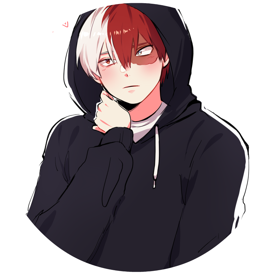 Todoroki PNG File HD Transparent PNG Image