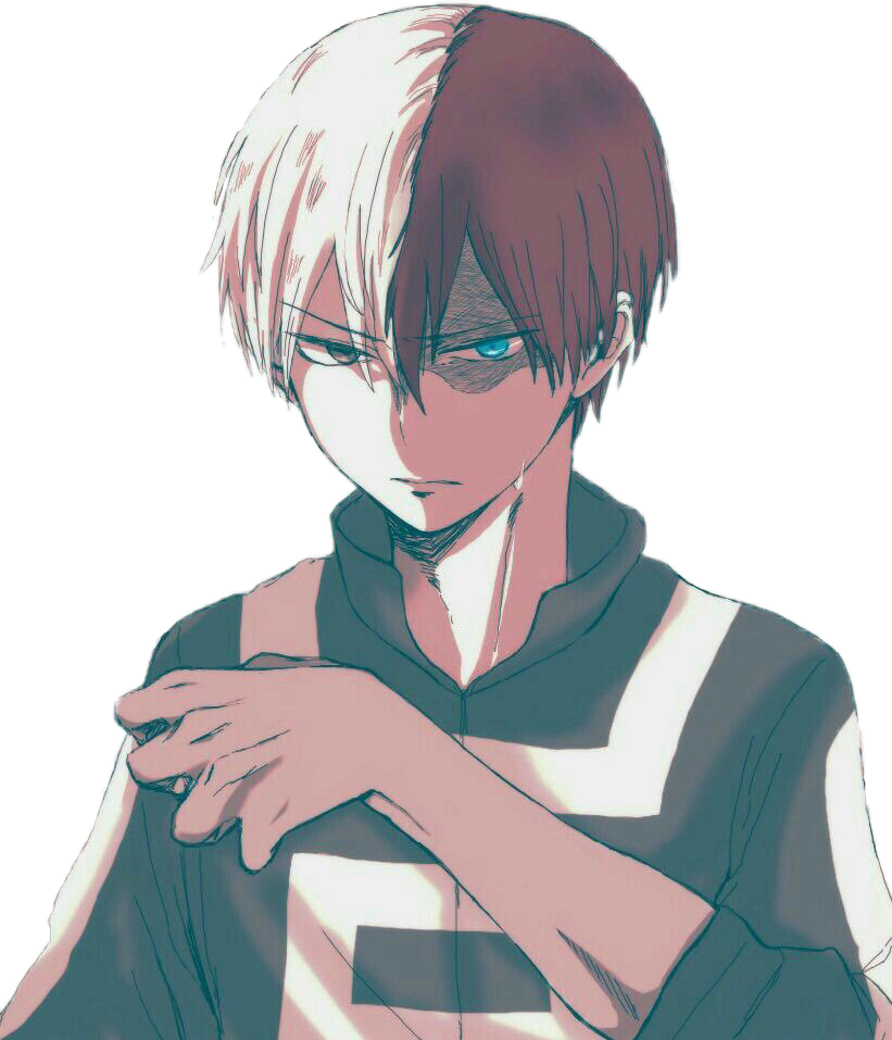 Todoroki HD Image Free Transparent PNG Image