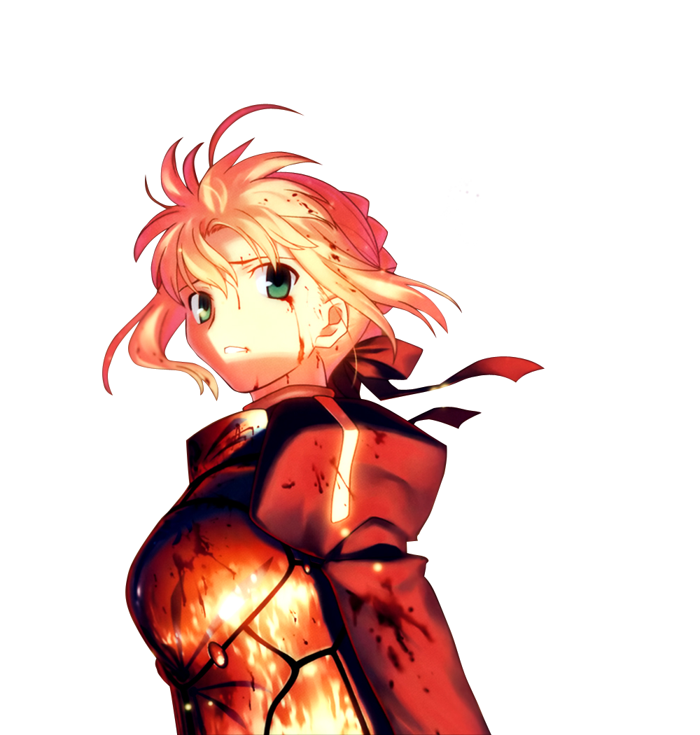 Fate Stay Free Download Transparent PNG Image