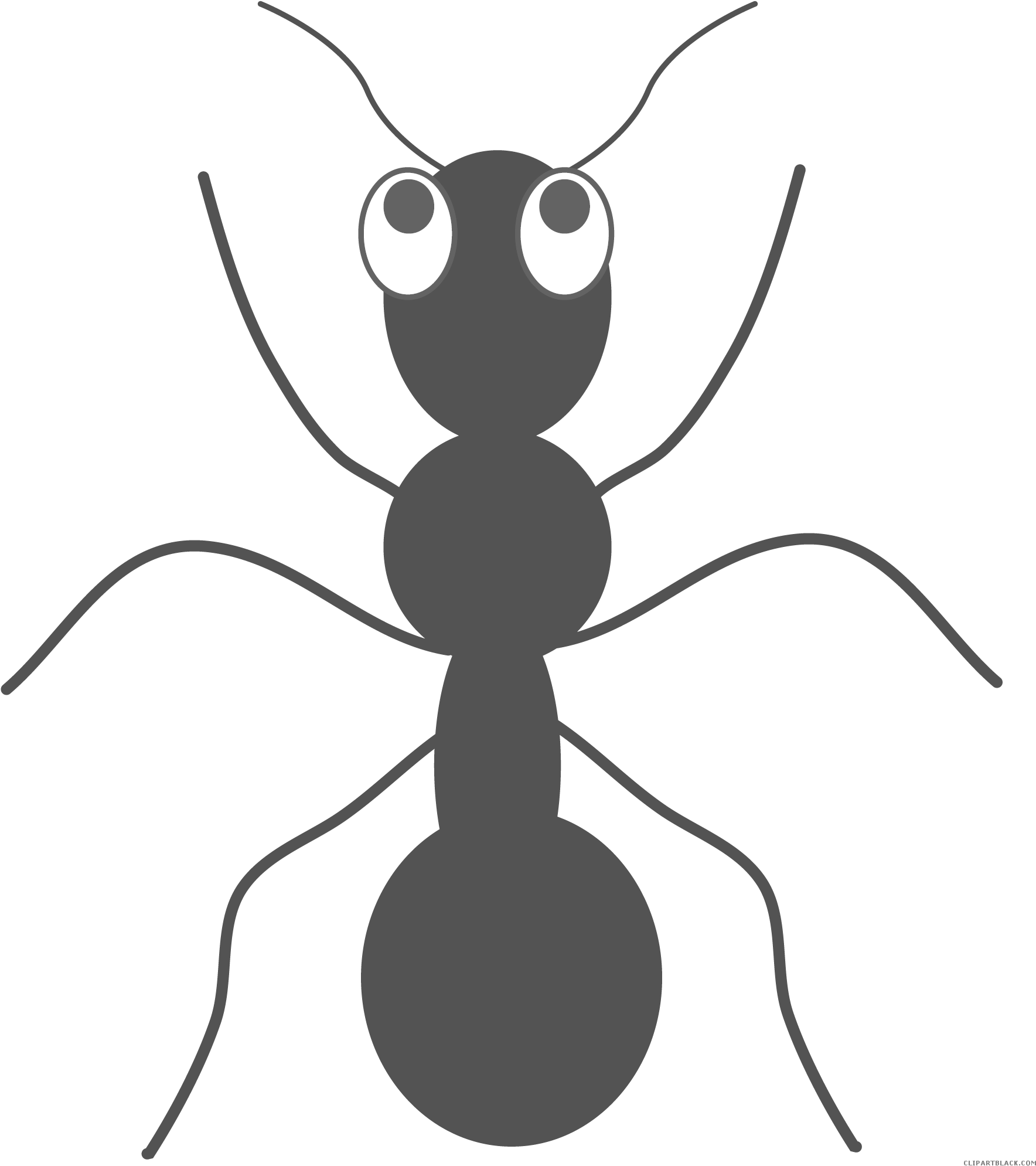 Ant Free Clipart HD Transparent PNG Image