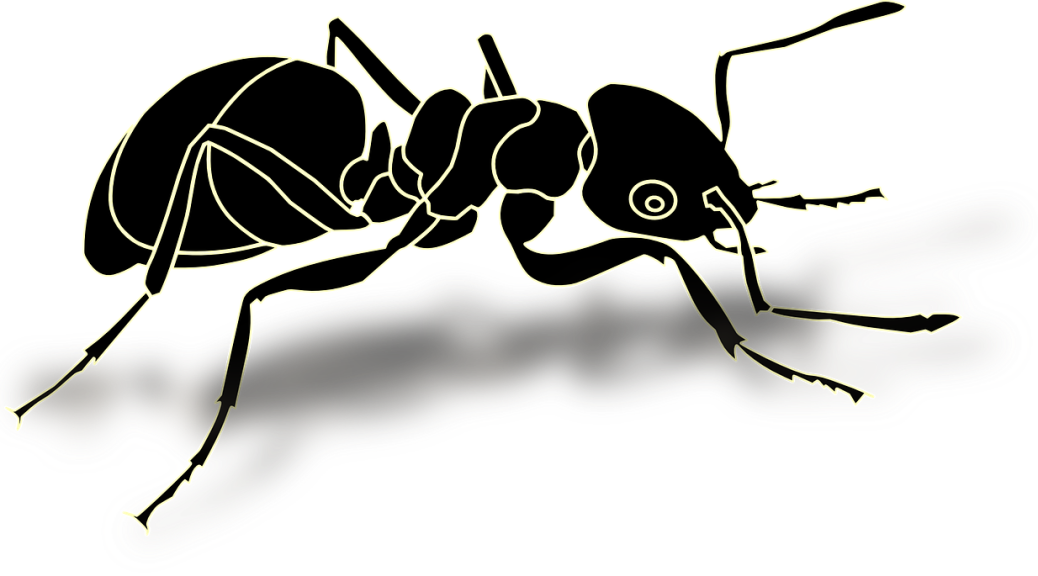 Ant Free Clipart HQ Transparent PNG Image