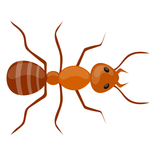 Ant Red Download HQ Transparent PNG Image