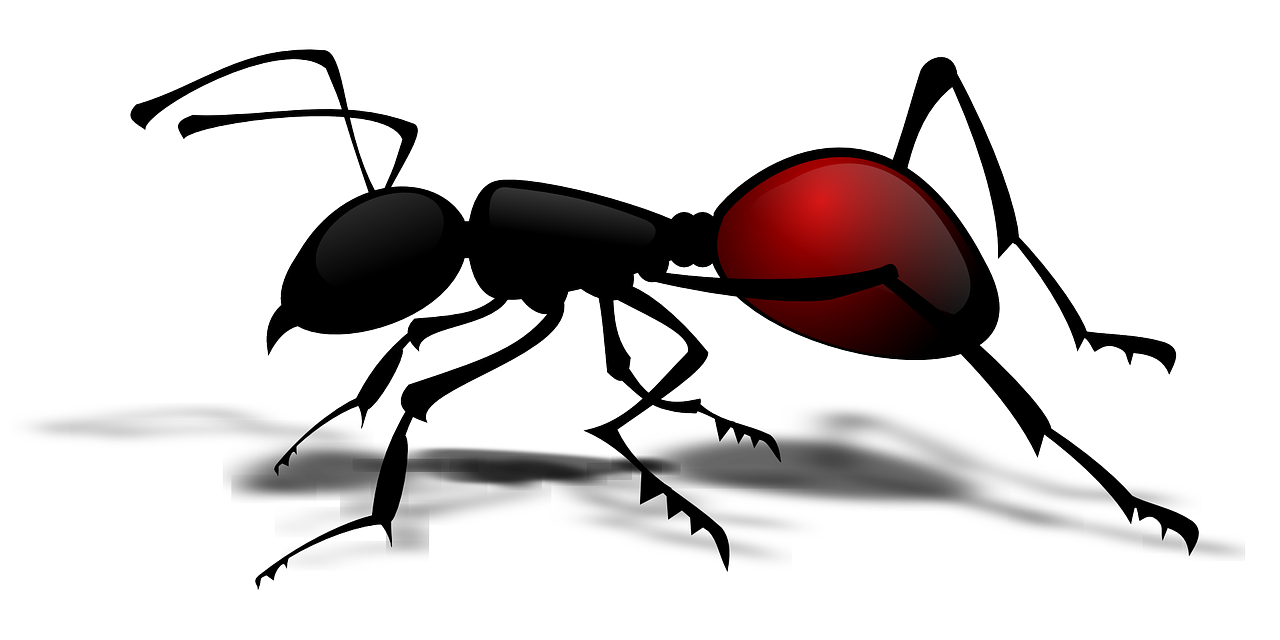 Ant Picture Red Download HD Transparent PNG Image