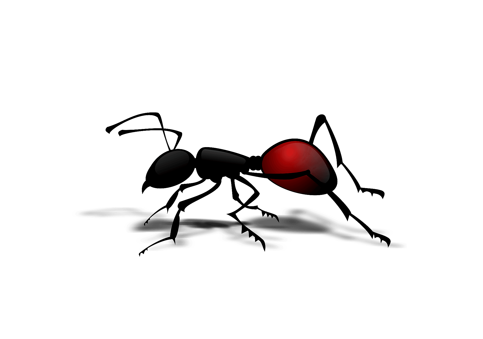 Ant Images Red Free Download PNG HQ Transparent PNG Image