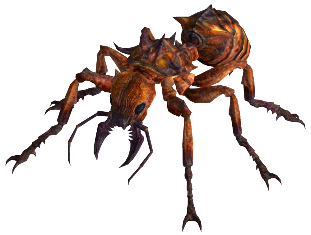 Ant Vector Download HQ Transparent PNG Image