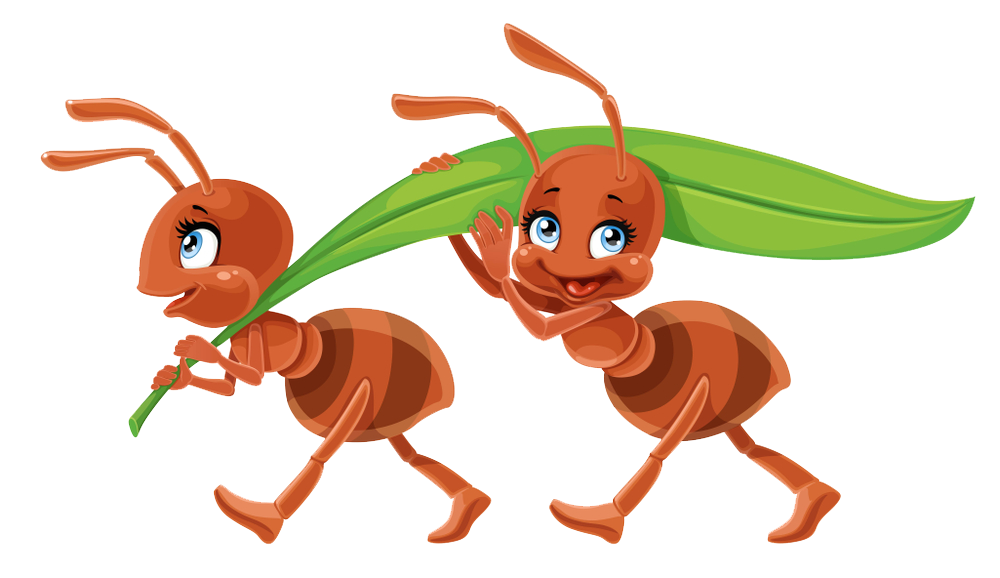 Ant Vector Download HQ Transparent PNG Image