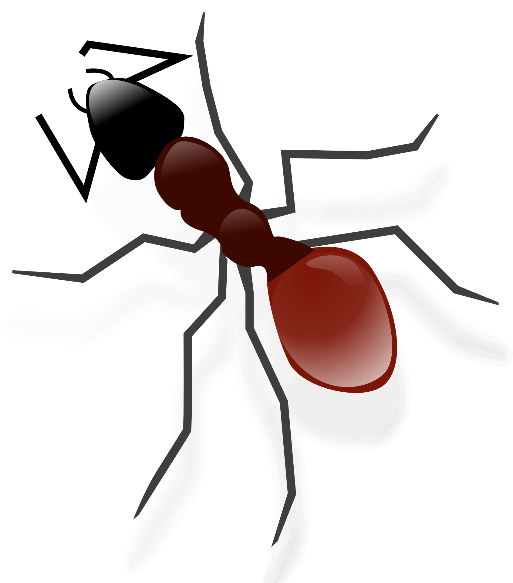 Ant Vector HQ Image Free Transparent PNG Image