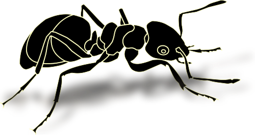 Ant Transparent Transparent PNG Image