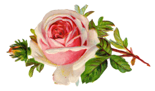 Antique Flower Art Free Download PNG HD Transparent PNG Image