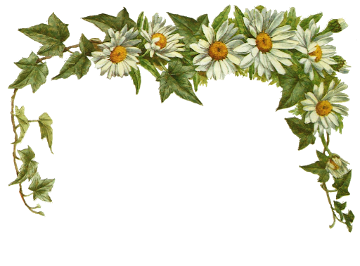 Antique Picture Flower Art Free Transparent Image HD Transparent PNG Image