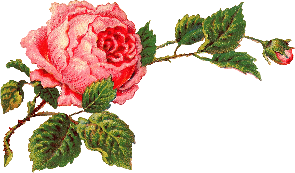 Antique Flower Art Free PNG HQ Transparent PNG Image